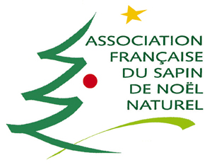 logo-sapin1